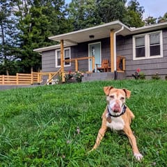 Grovemont Retro Retreat