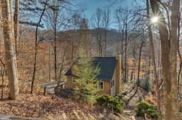 Bear Creek Cabin - Image 3