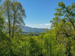 Mountain Dream - Image 5