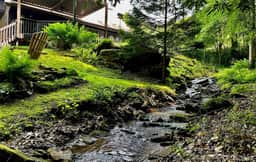 Ballard Creek House - Image 2