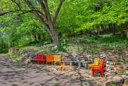 Maple Hill Collection - Image 4