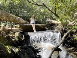 The Sanctuary at Fiddlehead - Image 5
