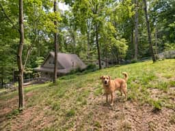 Riverbend Retreat - Image 5