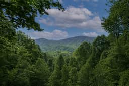 Glorious View - Image 5