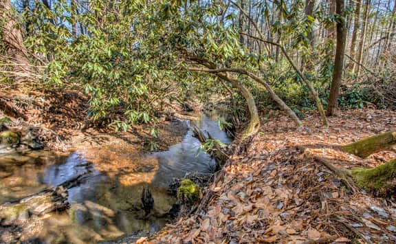Pisgah Adventure Cottage - Image 3