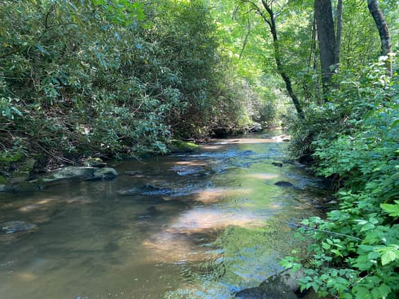 River's Edge - Image 4