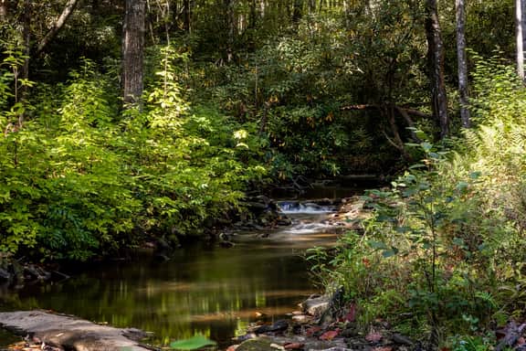 By the Creek - Image 5