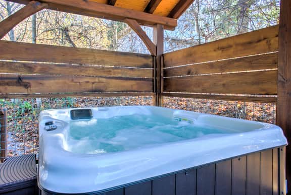 Bearwallow Lodge - Image 4