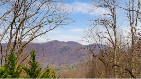 Covey Cottage - Image 5