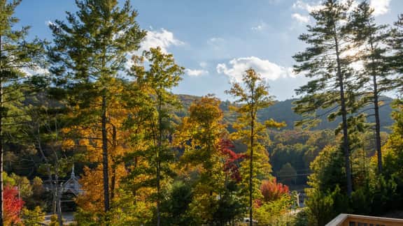 Luxury in the Mountains - Image 5